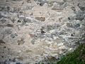 Außenmauer der Ruine Ruchenberg: Pietra Rasa mit Fugenstrich
