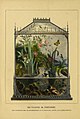 Butterfly vivarium or Insect home, Henry Noel, ca. 1858.