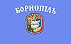 Flag of Boryspil