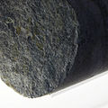 Gneiss sample bearing biotite and chlorite (green), a common alteration product of biotite.