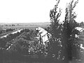 View of southern entrance to the farm, Dafna in 1947