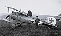 Schwarze Vier Ein Albatros D.Va mit der Seriennummer D.5629/17