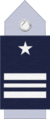 Chilean Air Force squadron commandant rank insignia (epaulette)