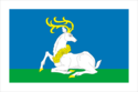 Flag of Odintsovo