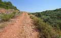 Trail in the garrigue on the Moure Hills