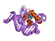 1lo1: ESTROGEN RELATED RECEPTOR 2 DNA BINDING DOMAIN IN COMPLEX WITH DNA