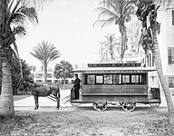 Pferdetram in Palm Beach 1905