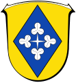 In Gold eine blaue Raute, belegt mit vier silbernen, dreiblättrigen Kleeblättern in Kreuzform: Wappen von Freiensteinau