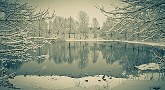 Swan's Pond (Łabędzi Staw) in winter