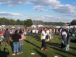 A crowd of people mill about, on litter-strewn grass, with marquees in the background.