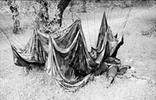A black and white photograph of a dead man partially shrouded by a parachute hanging from a tree.