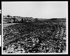 Channel cut through Dominguez lands by a flood on the Los Angeles River, about 1500 feet north of Watson station, 1916