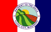 Flag of Yazoo City, Mississippi