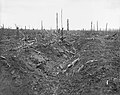 Deutsche Gräben im „Wald“ von Delville, Sept. 1916