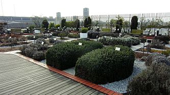 Herb garden of National Museum of Nature and Science Tokyo