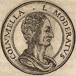 Portrait of Lucius Junius Moderatus Columella by Jean de Tournes (Insignium aliquot virorum icones, Lyon, 1559)