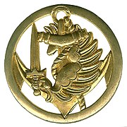 Former Beret insignia of Marine Parachute Units