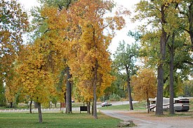Riverside Park along the Nez Perce National Historic Trail.