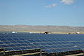 Solar Panels at Topaz Solar 7