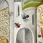 Firebug and spider by the Master of the Brussels Initials