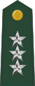 Lieutenant general