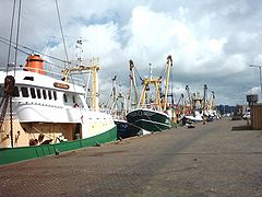 Fishing boats at quay in IJmuiden