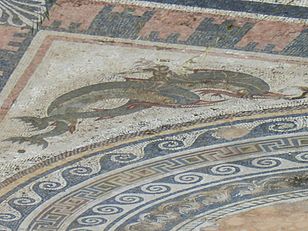 A mosaic on the floor of the House of the Dolphins