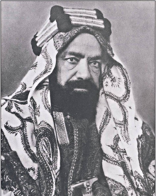A photograph of Hamad bin Isa Al Khalifa
