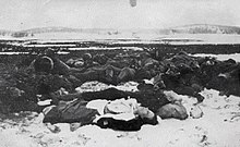 Executed Red Guards lying on the ground