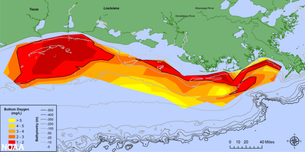 Map of measured Gulf hypoxia zone, July 25–31, 2021, LUMCON-NOAA
