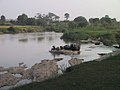 River Kaduna