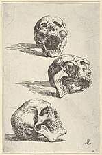 Three Human Skulls (1662), 14.2 × 9.2 cm.