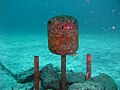 Underwater post box for divers at the Fuji-Hakone-Izu National Park, Japan