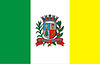 Flag of São Manuel