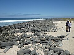 Long view of the beach on North Seymour Island, Galápagos
