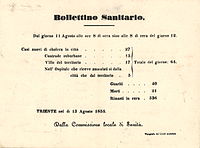 Bolletino sanitario vom 11. August 1855 (Akzidenzarbeit der Druckerei)