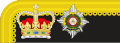 1867 to 1880 colonel's collar rank insignia