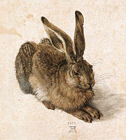 Young Hare, 1502, Watercolour and bodycolour by Albrecht Dürer