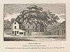 The Liberty Tree in Boston, as illustrated in 1825