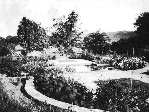 The New garden 1925