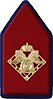 Insignia of the Supply and Transport regiment