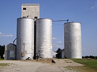 Old grain elevator (2010)
