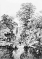 The Cam near Trinity College, Cambridge (unknown artist): a grove of mainly English elms on The Backs[96]