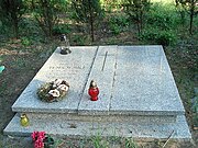 Grave of Jerzy Topolski
