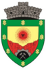 Coat of arms of Baia de Aramă