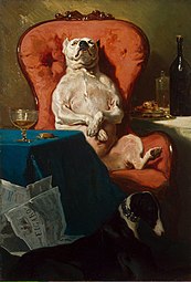 Pug Dog in an Armchair, now at the Hermitage Museum