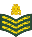 Staff sergeant (Barbados Regiment)[20]