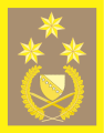 General pukovnik (Bosnian Ground Forces)[9]