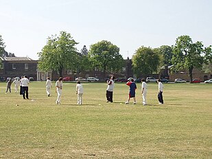Practising cricket on Kew Green