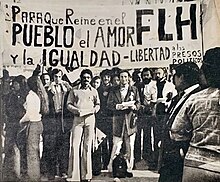 Members of the FLH in the Plaza de Mayo during the inauguration of Héctor José Cámpora, holding a banner